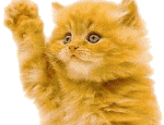 Cat waving