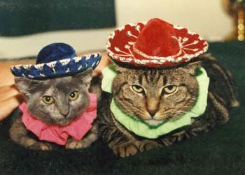 http://www.slowtravtours.com/images/planning/cat_sombreros.jpg